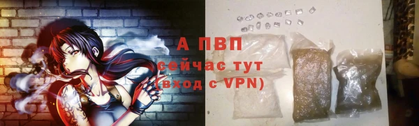 ешки Ростов